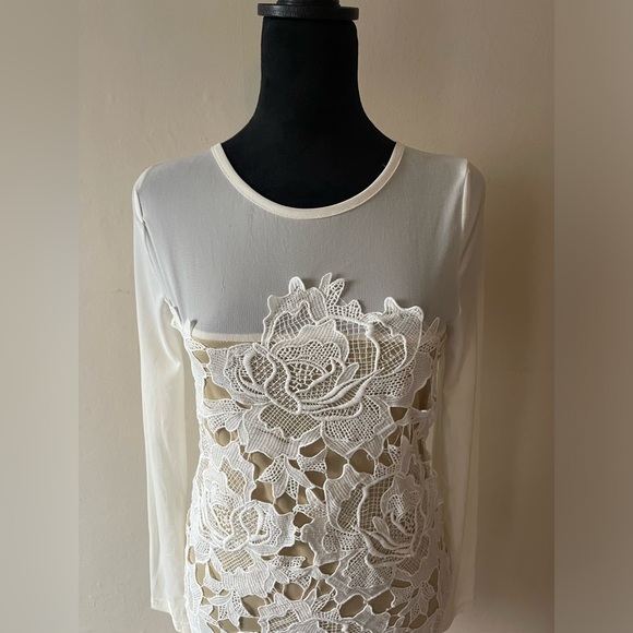 Love-cat lace/sheer mesh combo, off white dress, gold back zip, size L, like new - Picture 3 of 8